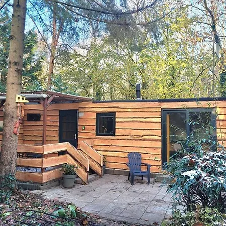 Chalet Verblijf Midden In De Natuur In De Jagershut!
