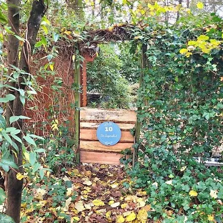 Verblijf Midden In De Natuur In De Jagershut!