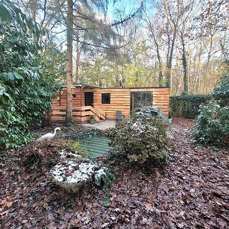 Chalet Verblijf Midden In De Natuur In De Jagershut! *