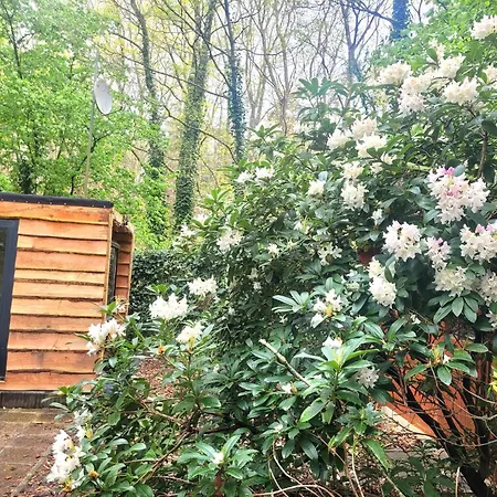Verblijf Midden In De Natuur In De Jagershut! Chalet Hattemerbroek